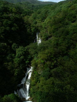 image 014
