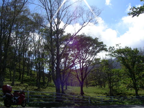 image 048